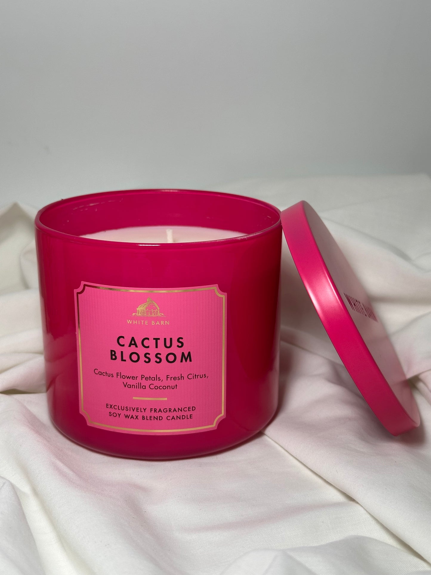 Cactus Blossom, vela grande